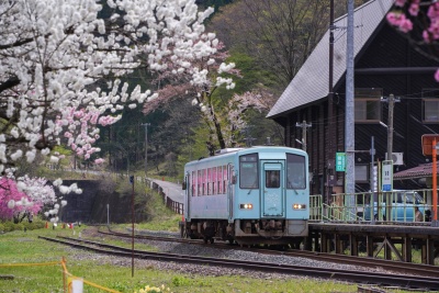 福井の絶景！電車と花が撮影できるおススメのスポットをご紹介します
