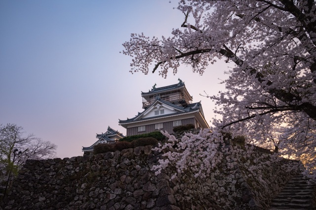 大野城に映える「亀山公園の桜」