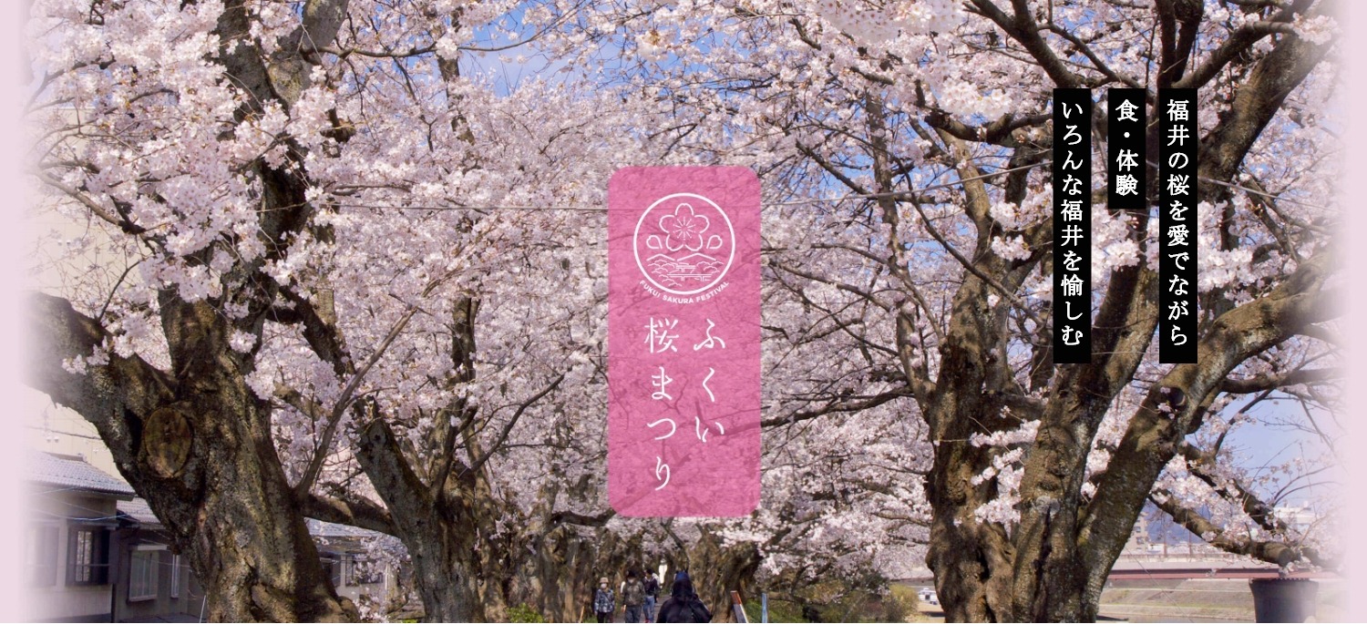 福井に春を告げる「第３８回ふくい桜まつり」。見どころやライトアップ、イベント情報はこちら！