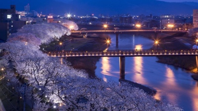 【２０２３最新】ふくい桜まつり最大の見どころ　福井市内、桜のライトアップ１３か所まとめ