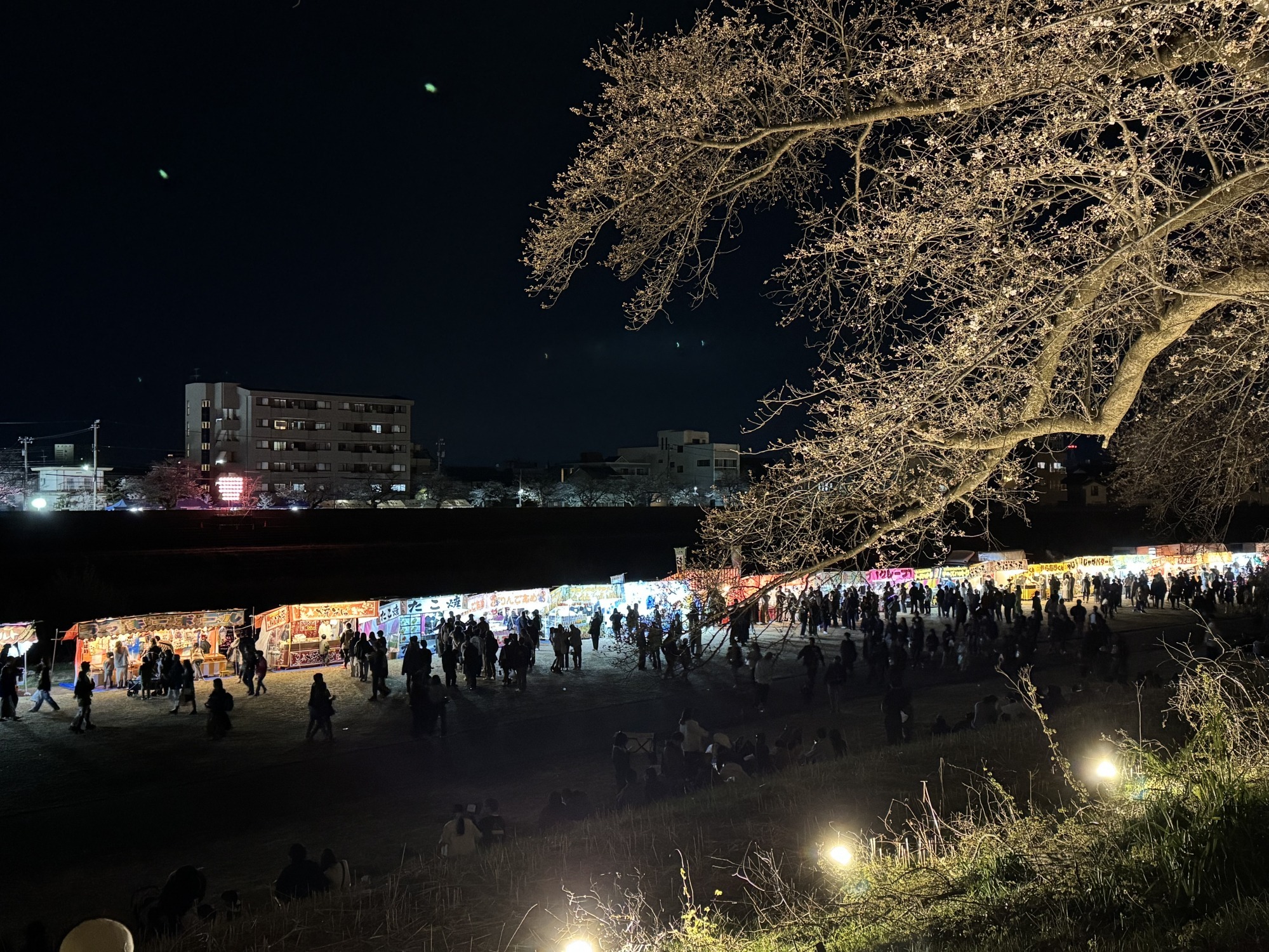 足羽川河川敷の屋台・キッチンカー情報