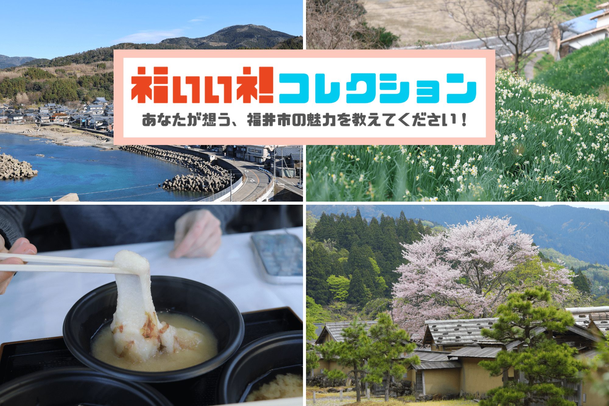 【～6/21(日)】あなたが想う福井市の魅力写真を応募して、素敵な特典をゲットしよう！応募写真は福井駅柱型LEDビジョンで放映！