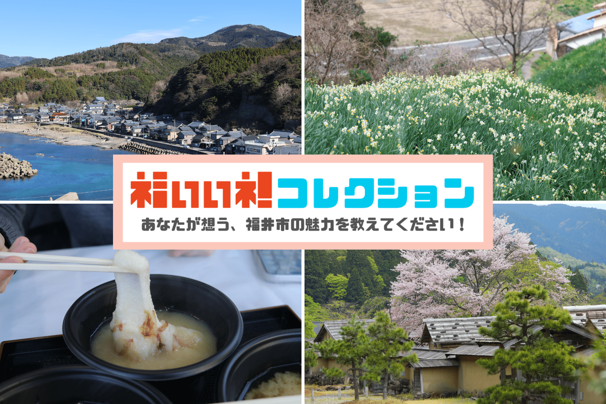 ◆◇県内の写真◇◆を紹介します