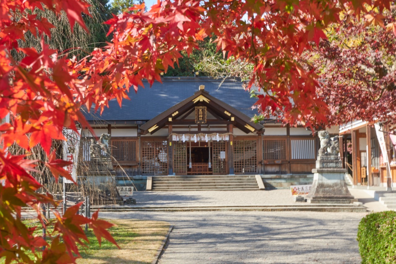 継体天皇を祀る「足羽神社」。境内にあるシダレ桜とタカオモミジは市の天然記念物です。