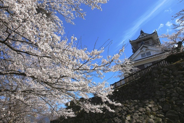 春は300本のソメイヨシノが咲き誇る桜の名所です