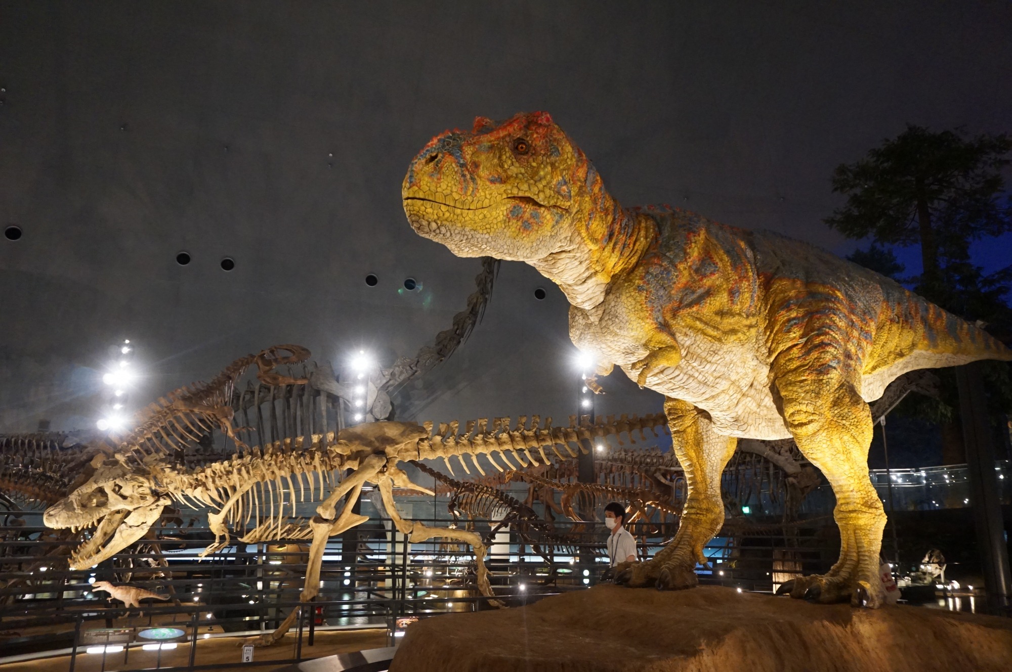 福井県立恐竜博物館の予習はこれでバッチリ！リニューアル後の見どころや周辺スポットを含めてご紹介します