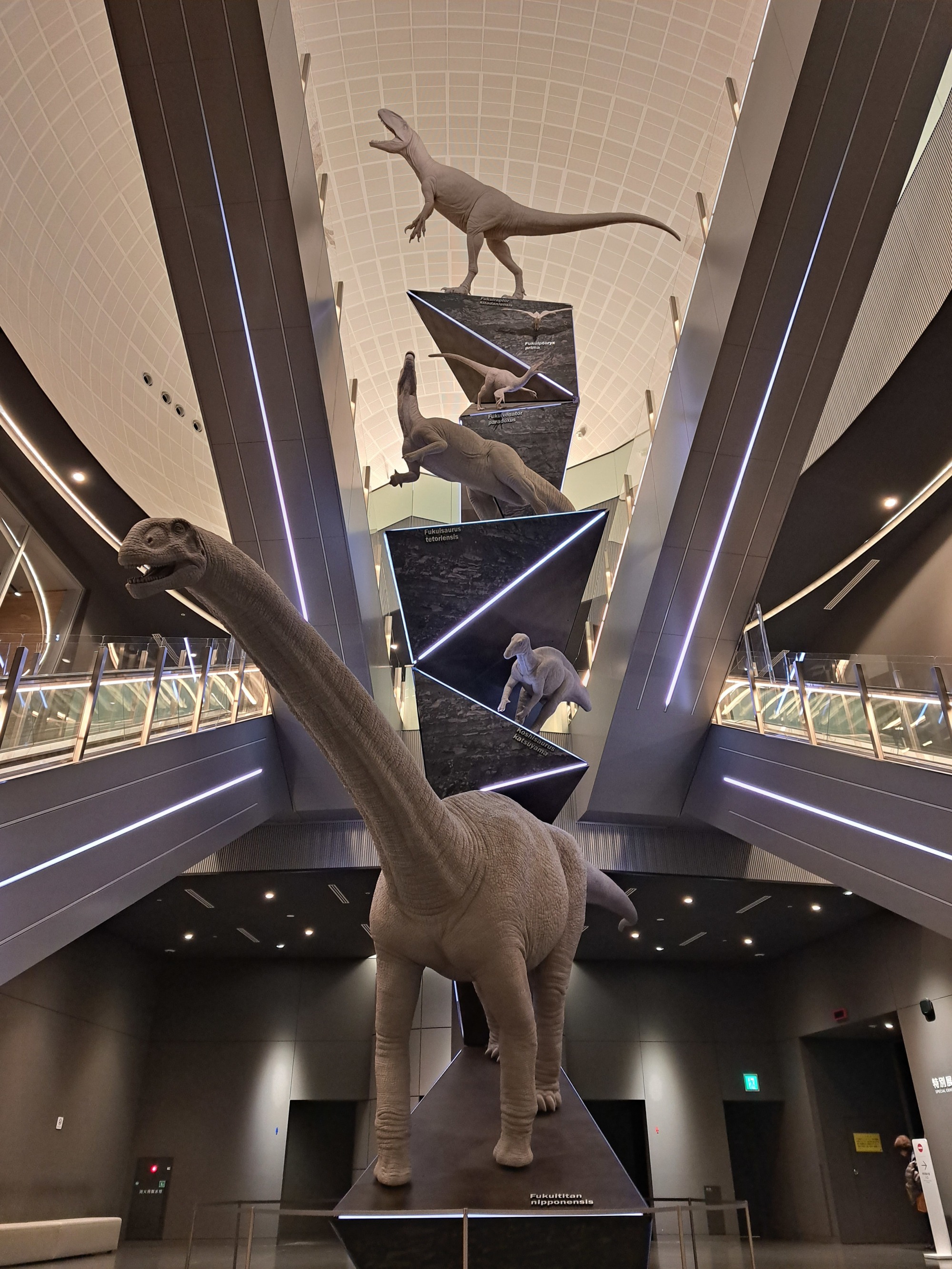 福井県で発見された新種の恐竜５種と鳥類１種が。「恐竜の塔」