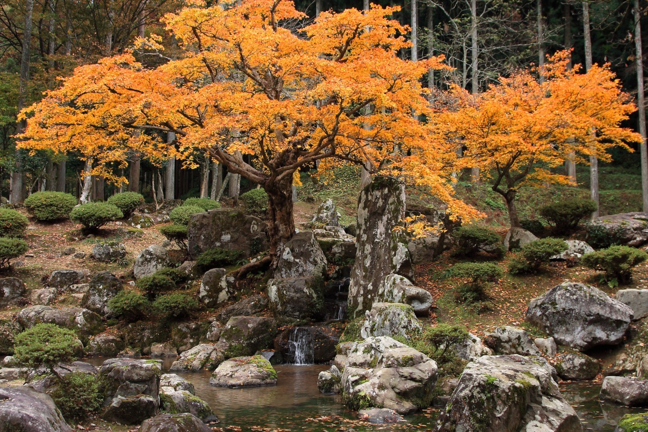 朝倉氏遺跡にある４つの特別名勝のうち最大の庭園「諏訪館跡庭園」