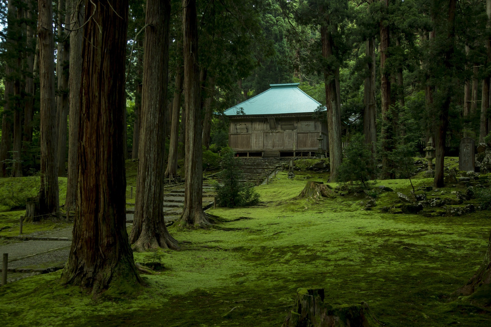 コケの絨毯が美しい平泉寺。戦国時代には日本屈指の勢力を誇りました。