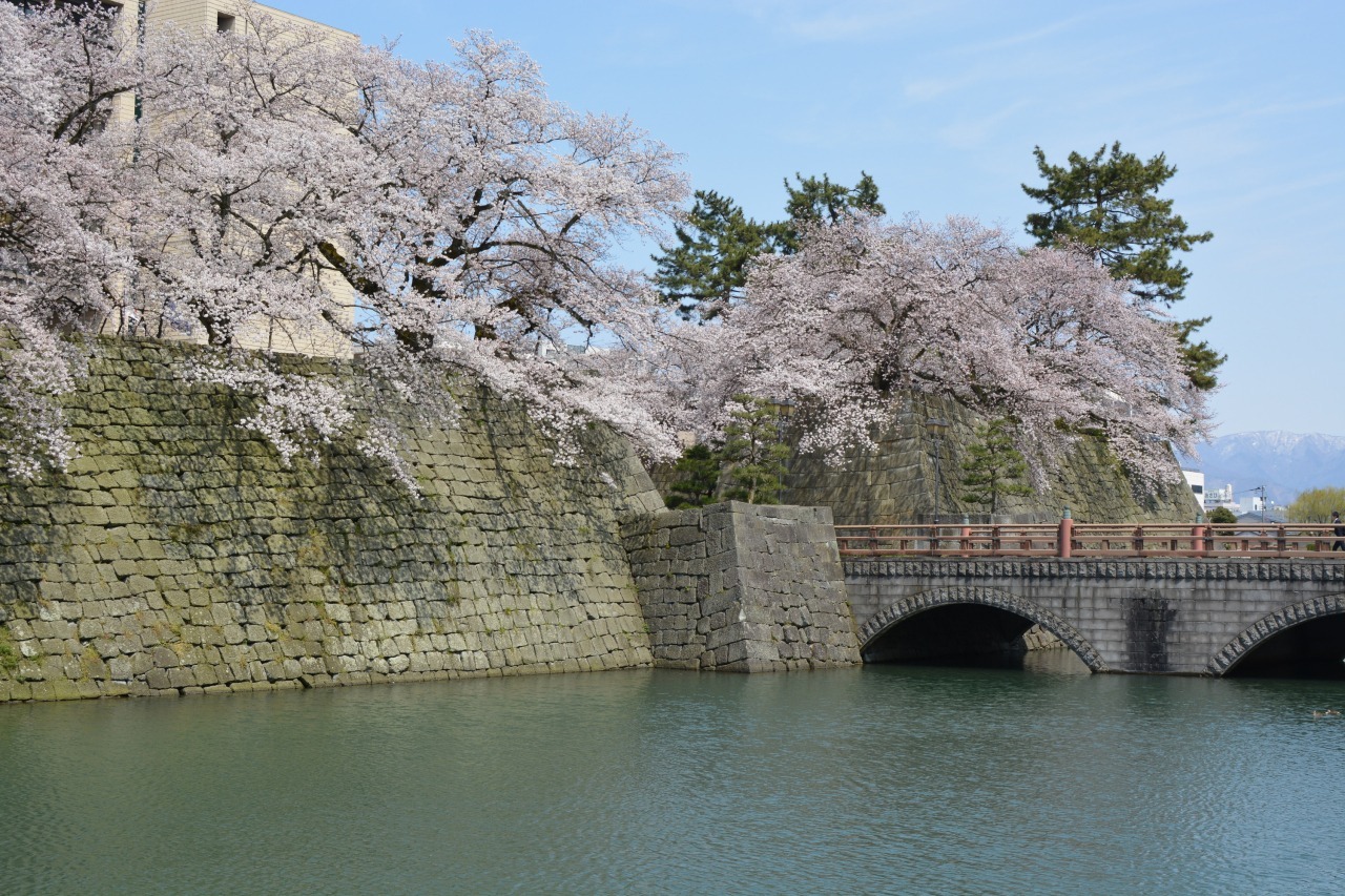 福井城址の笏谷石の石垣、一部は北庄城のものが流用されたと言われています