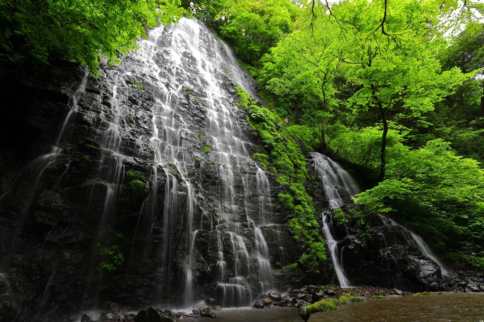 県内唯一、日本の滝100選に指定されている「龍双ヶ滝」