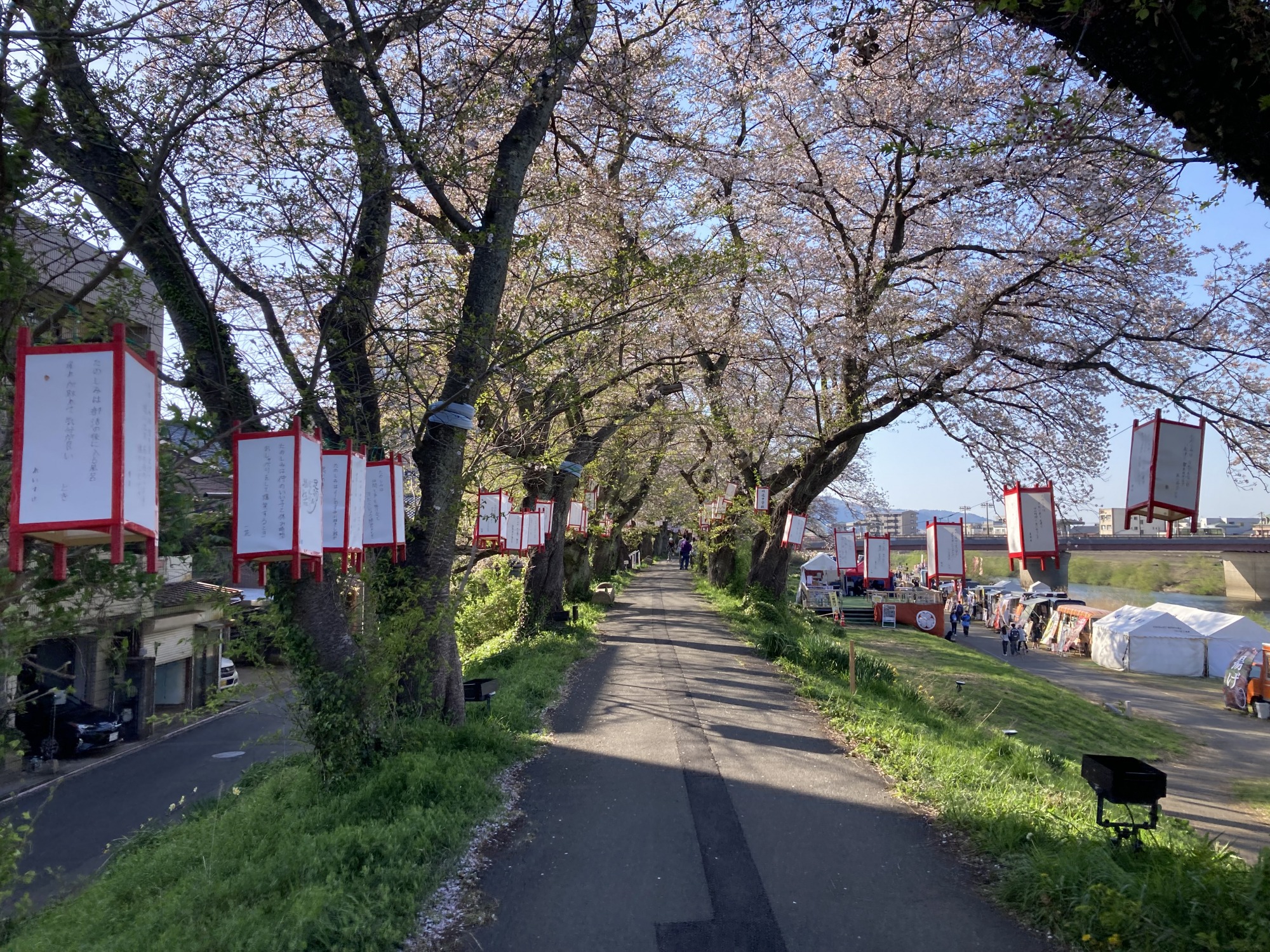4月8日　天気：晴　九十九橋周辺