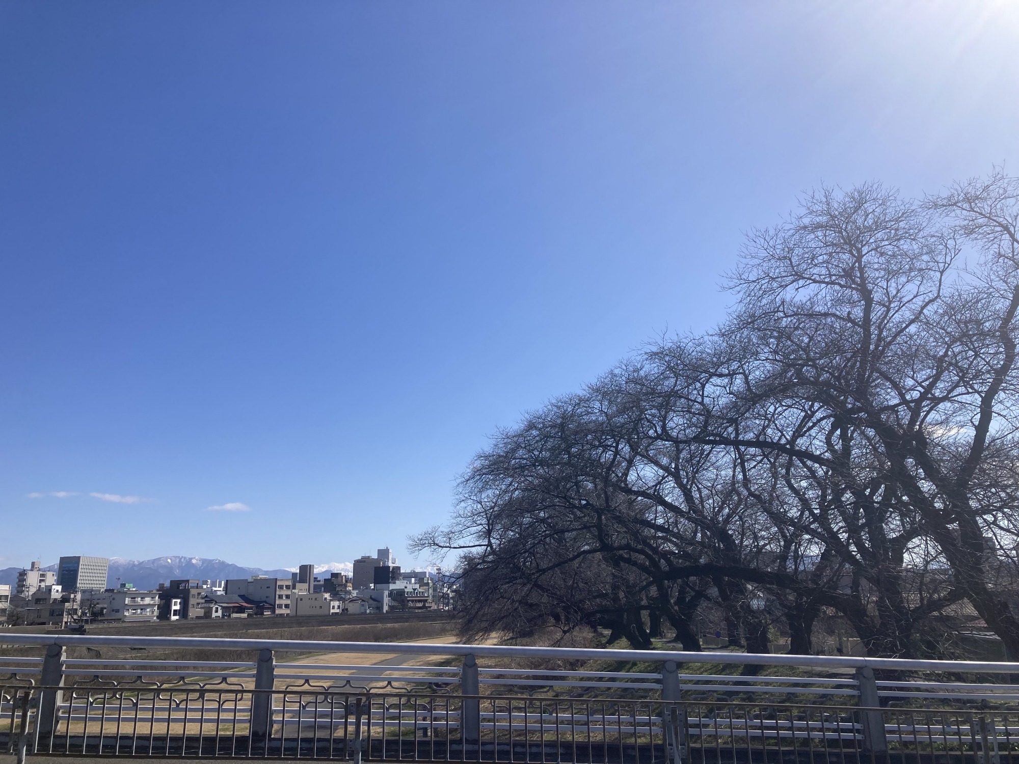 3月11日　天気：晴　花月橋周辺
