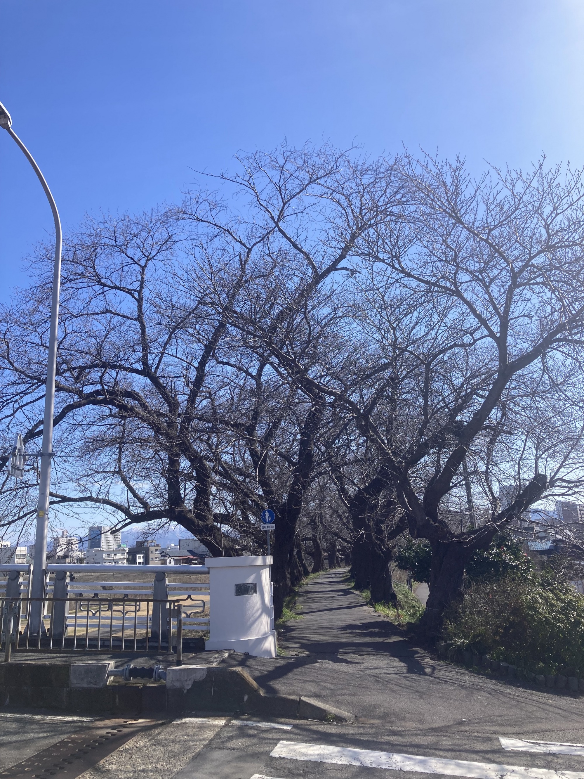 3月11日　天気：晴　花月橋周辺