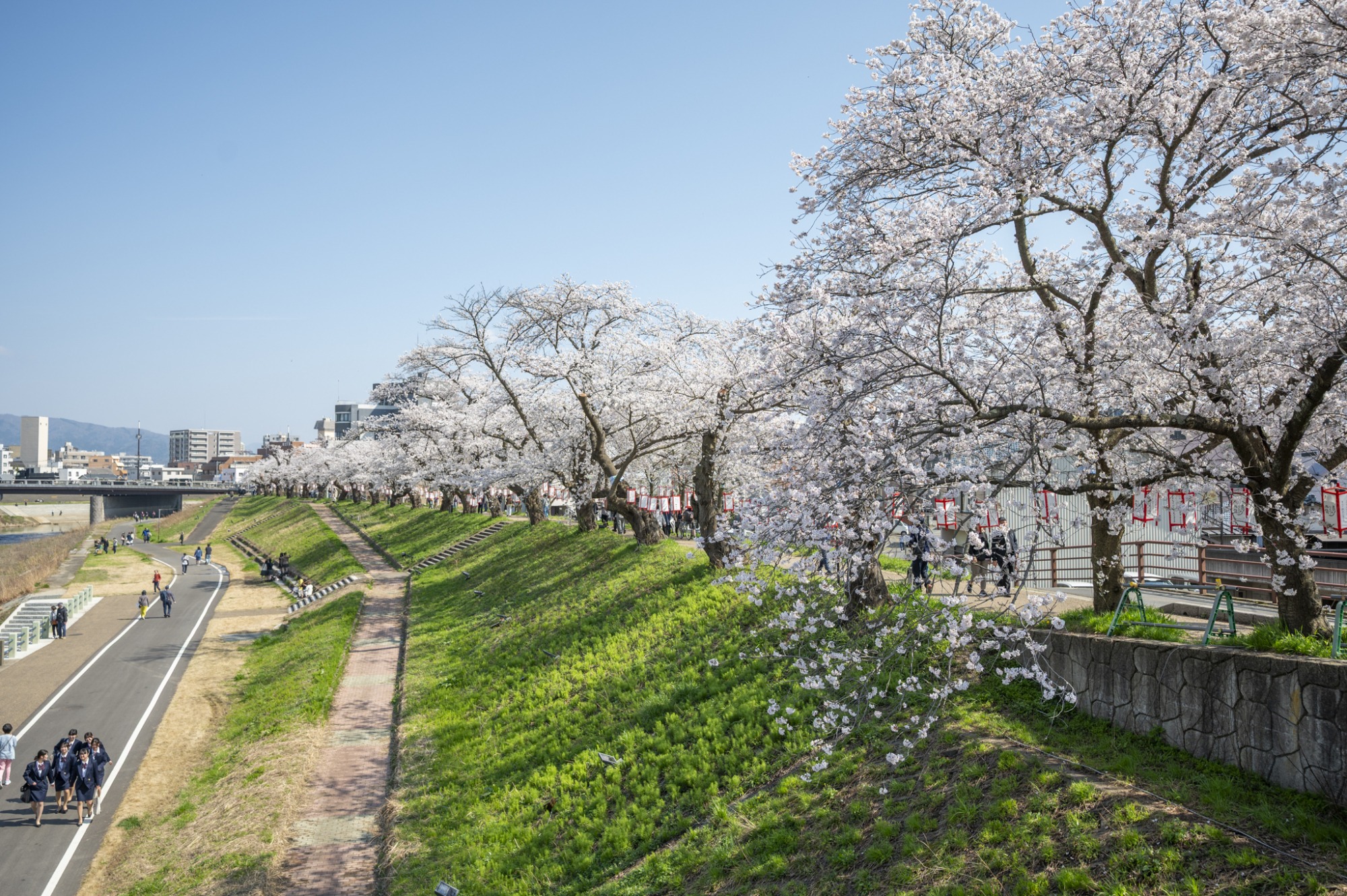 4月3日　天気：晴　桜橋周辺