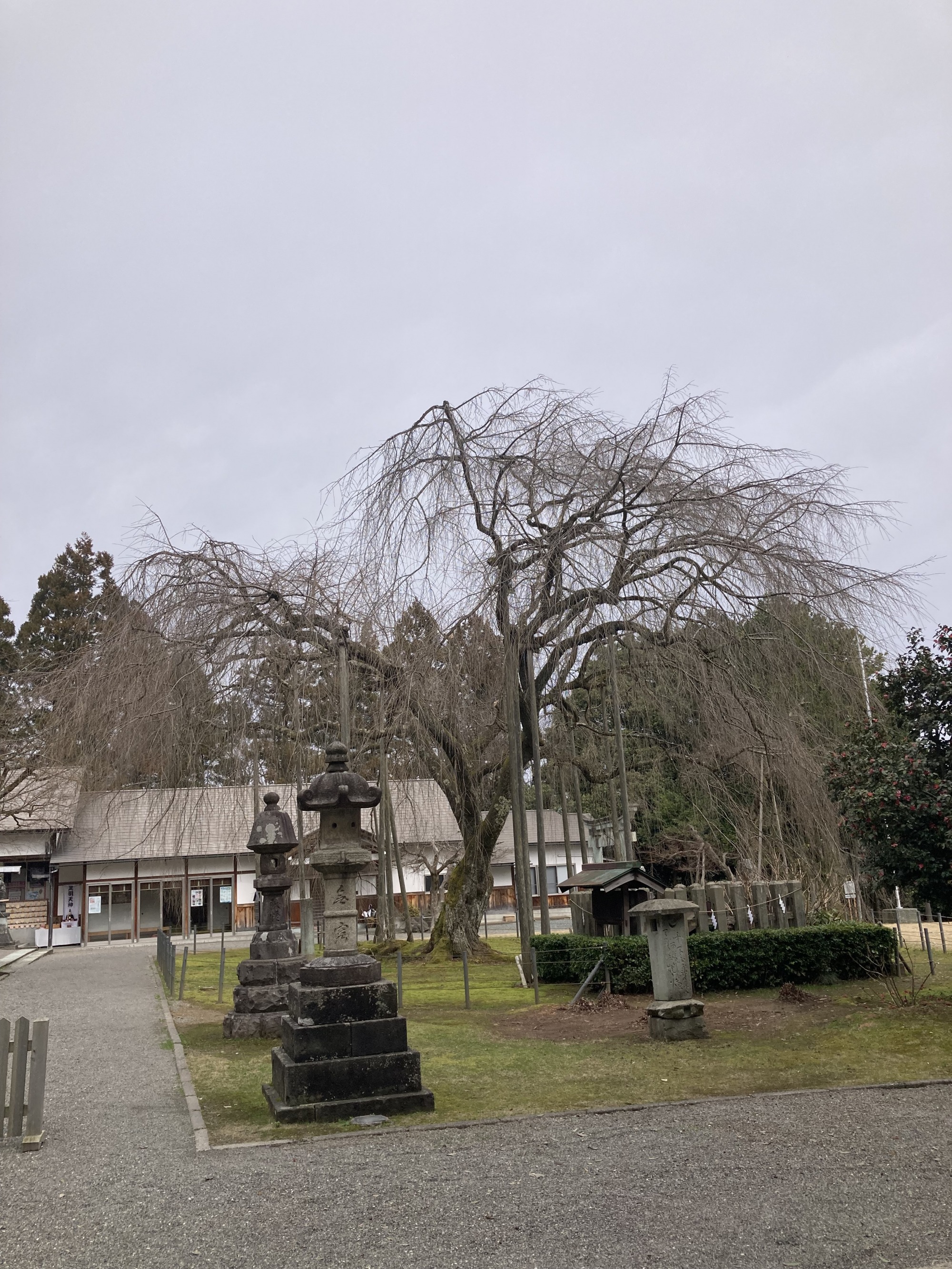 3月6日　天気：曇　足羽神社
