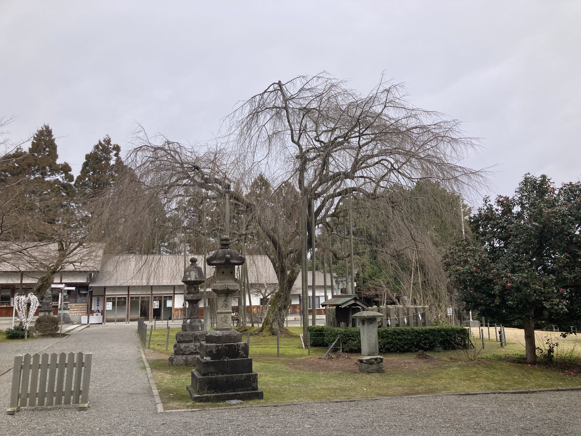 3月6日　天気：曇　足羽神社