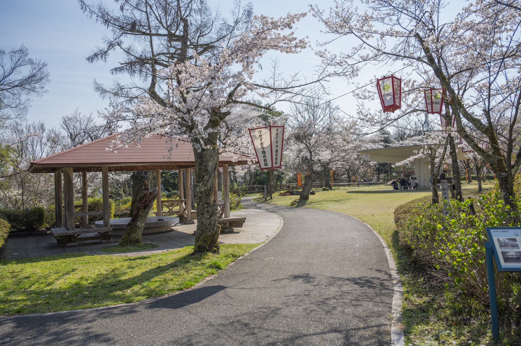 4月3日　天気：晴　足羽山公園周辺