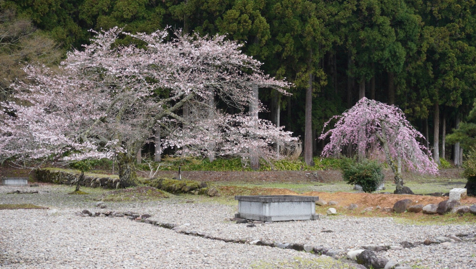 4月2日　天気：雨のち晴　復原町並周辺