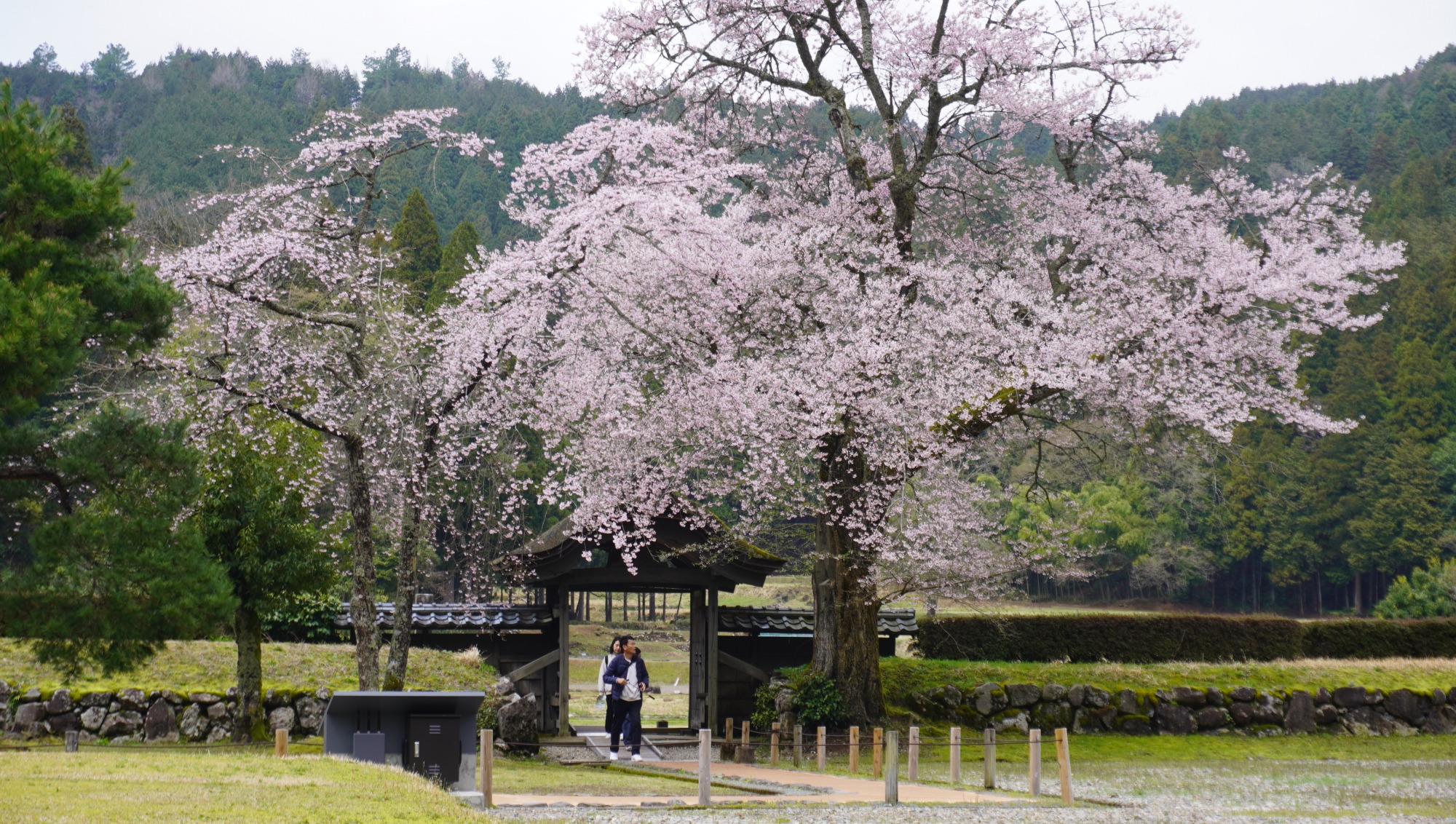 4月2日　天気：雨のち晴　唐門