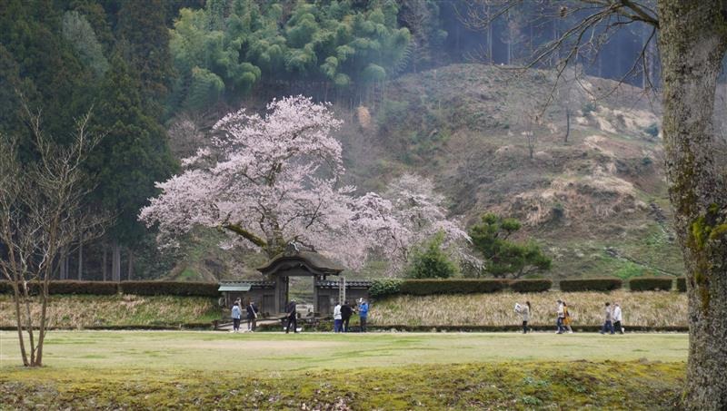 4月2日　天気：雨のち晴　唐門