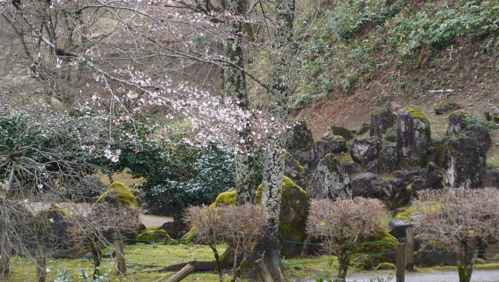 4月2日　天気：雨のち晴　湯殿跡庭園