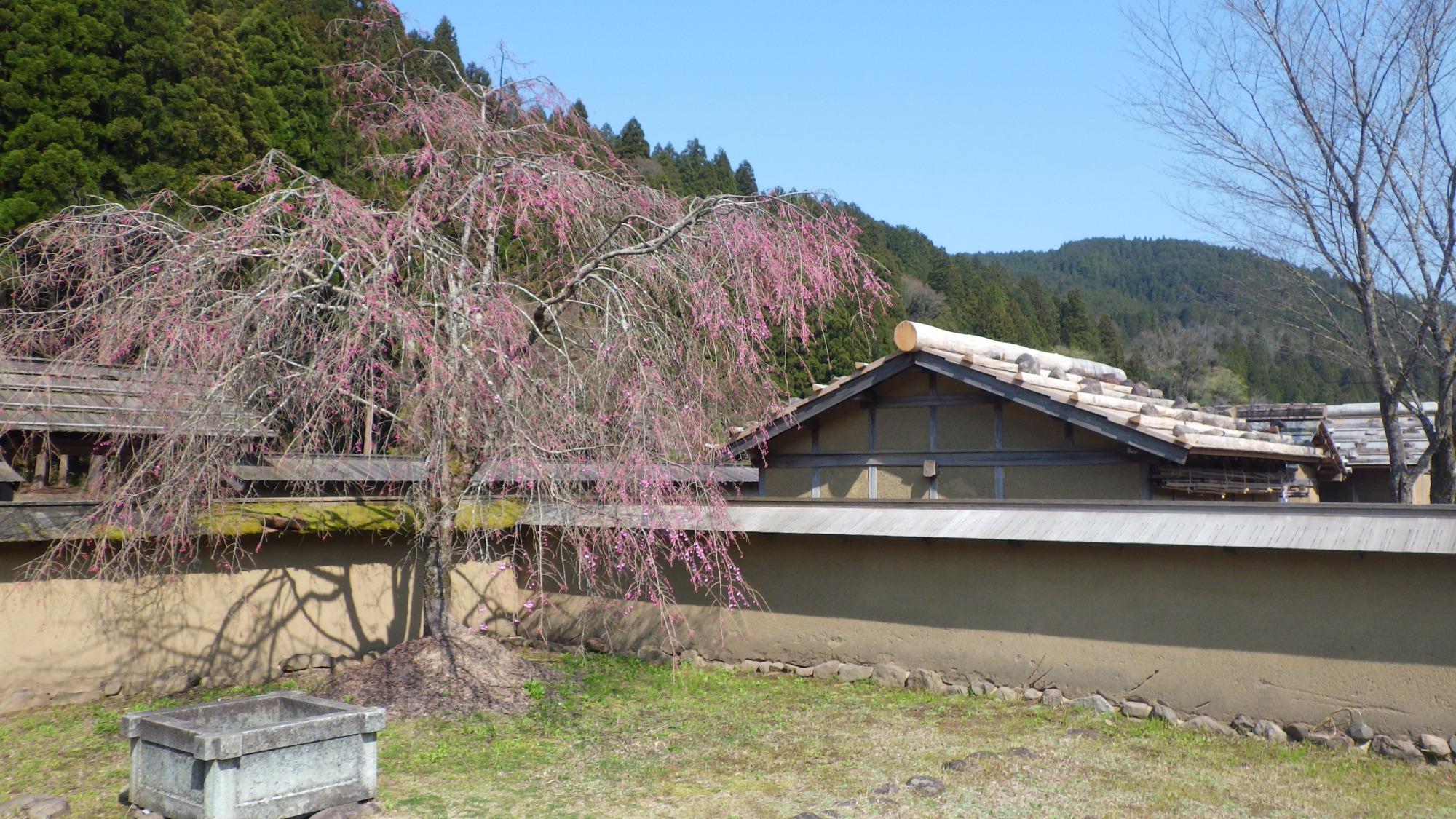 4月3日　天気：晴　復原町並