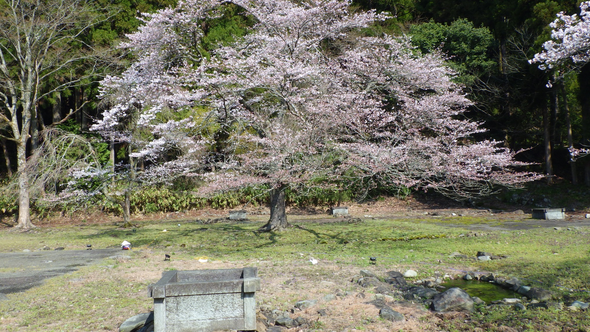 4月3日　天気：晴　遺跡周辺