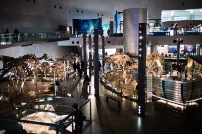 雨の日でもOK！福井のおでかけ観光スポット31選。