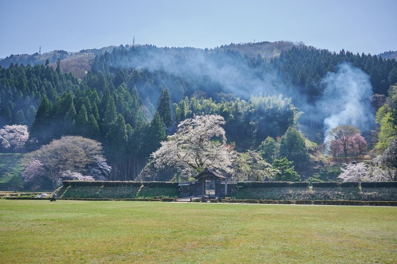 朝倉氏約100年間の栄華が眠る城下町跡