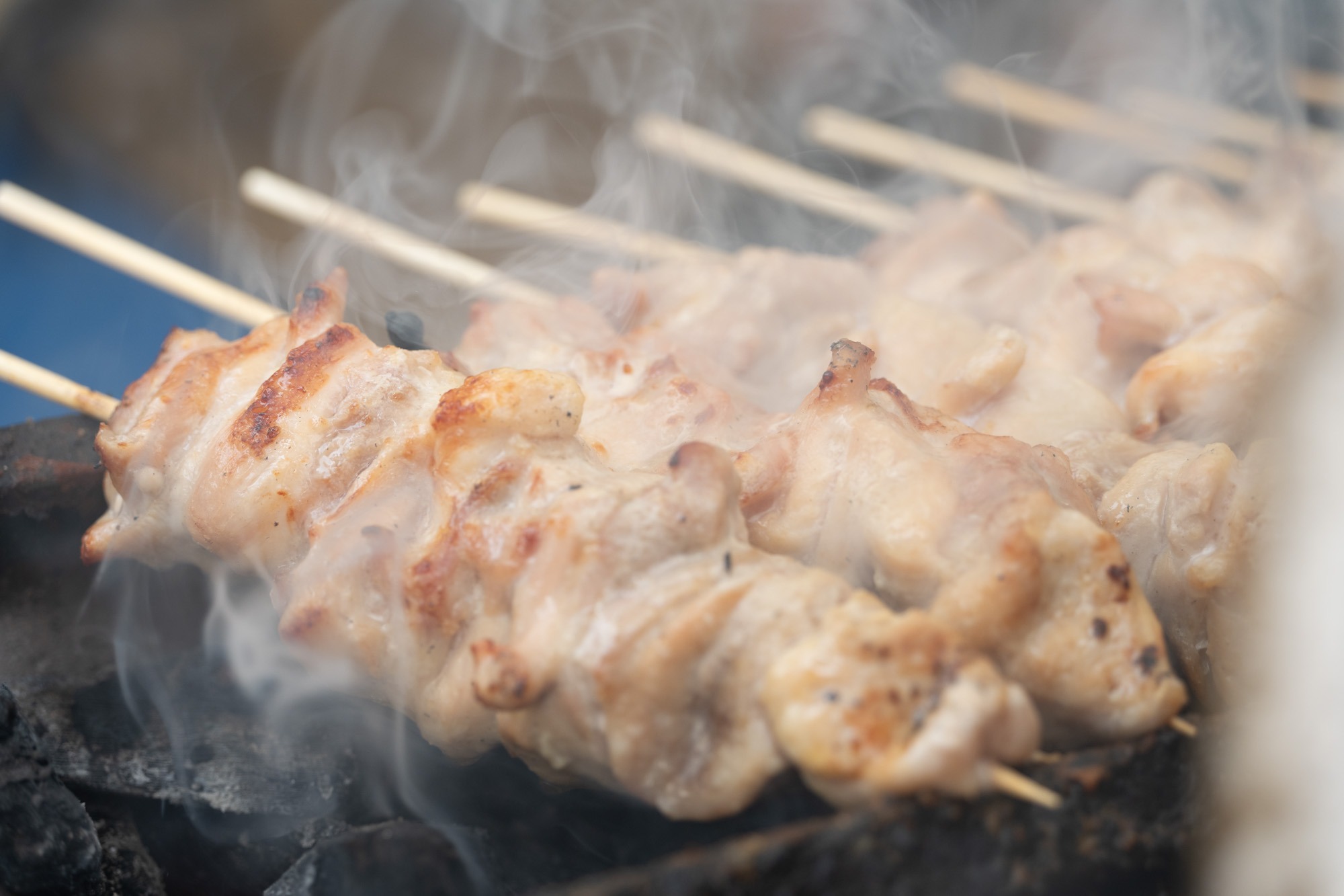 見ているだけでお腹がすいてくる。それがやきとり！