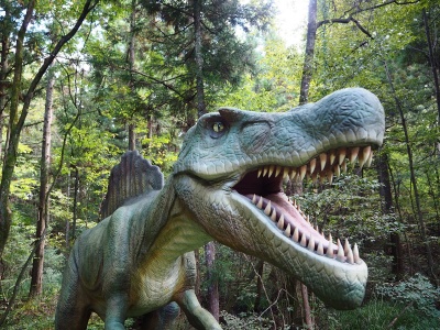 【恐竜博物館周辺観光】かつやま恐竜の森の楽しみ方を教えます！