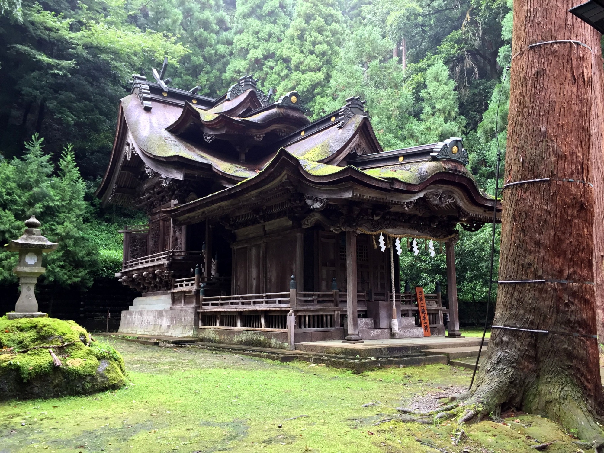 岡太神社・大瀧神社～大人の休日倶楽部「越前和紙の里篇」CMにも登場！