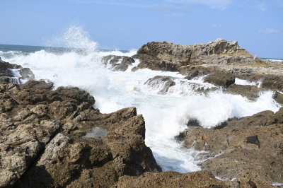 五感で楽しむ冬の越前海岸！日本海の荒波が育む「絶景・グルメ・温泉」を巡る旅