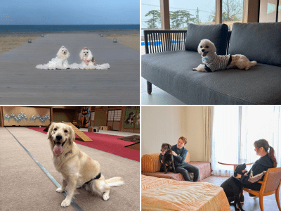 福井のペットと泊まれる宿6選！愛犬と過ごすリゾートから温泉旅館まで ～Instagramチームが厳選しました～