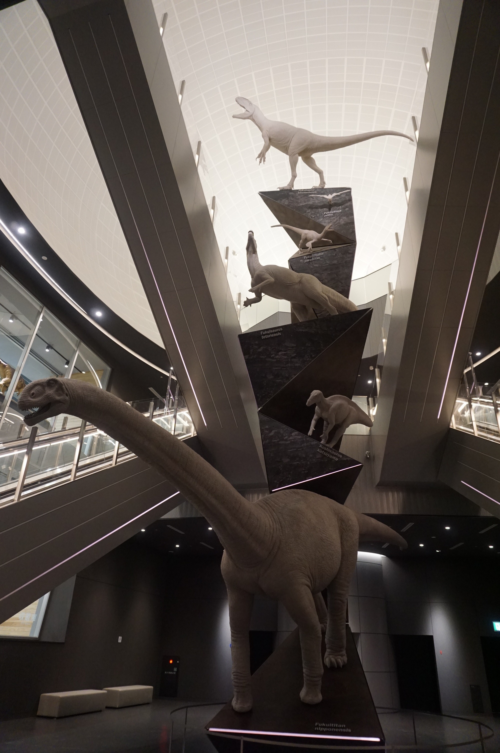 恐竜博物館：恐竜の塔