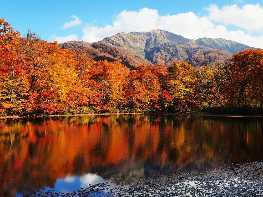 福井の秋を満喫できる観光スポットまとめ