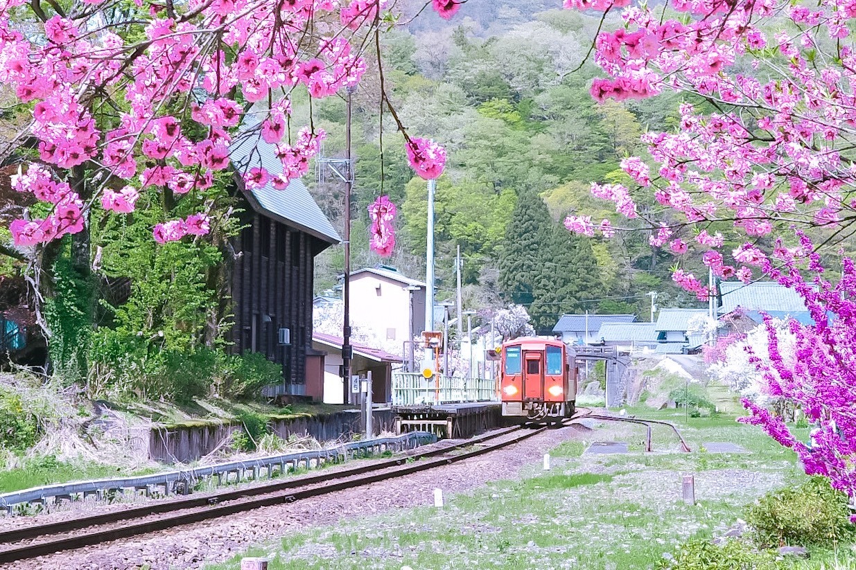 何色の電車が来るかはお楽しみ。〈写真提供：@to_ru_photograph〉