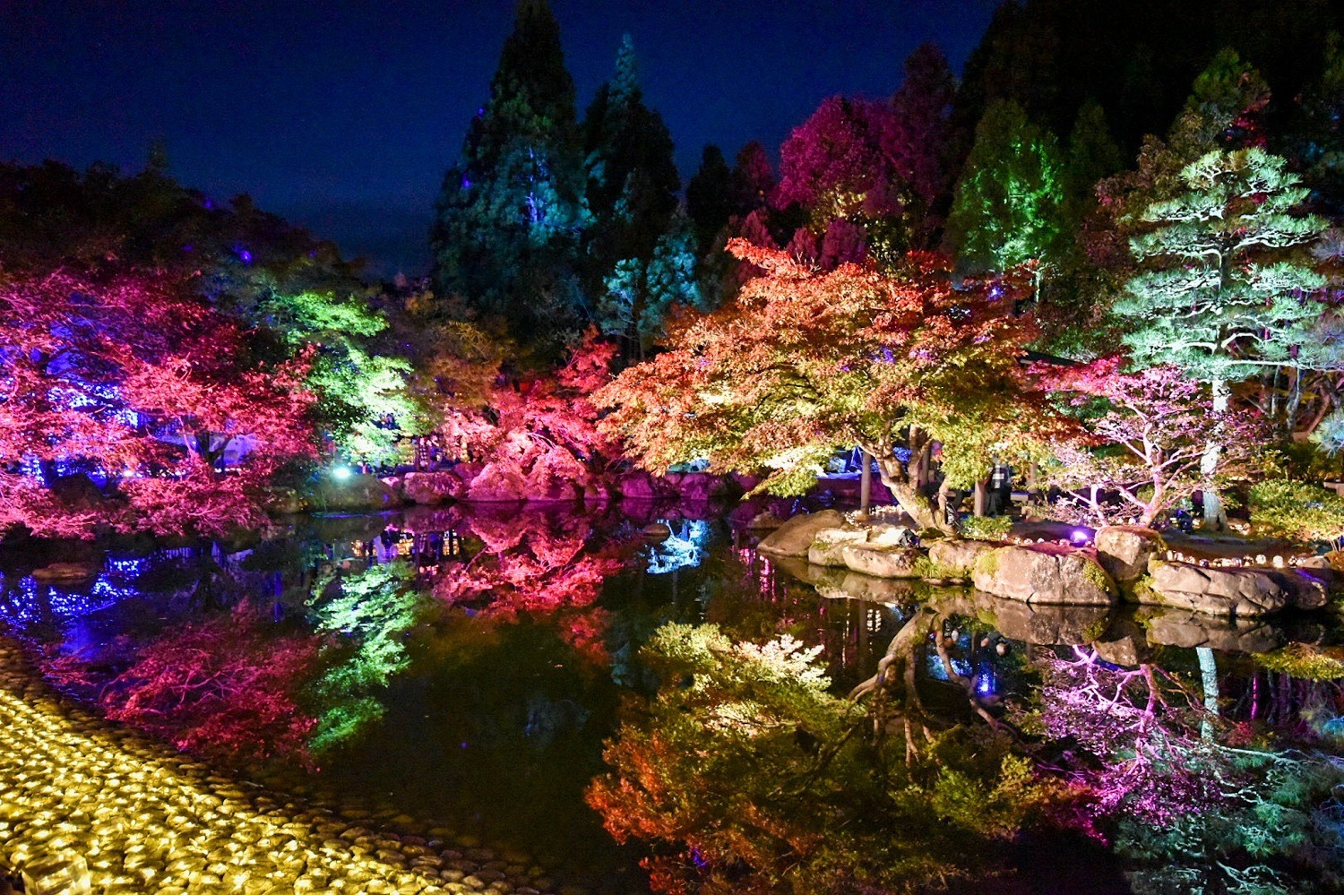 提供：福井県陶芸館