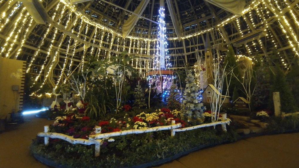 福井県総合グリーンセンター　花の展示温室イルミネーション