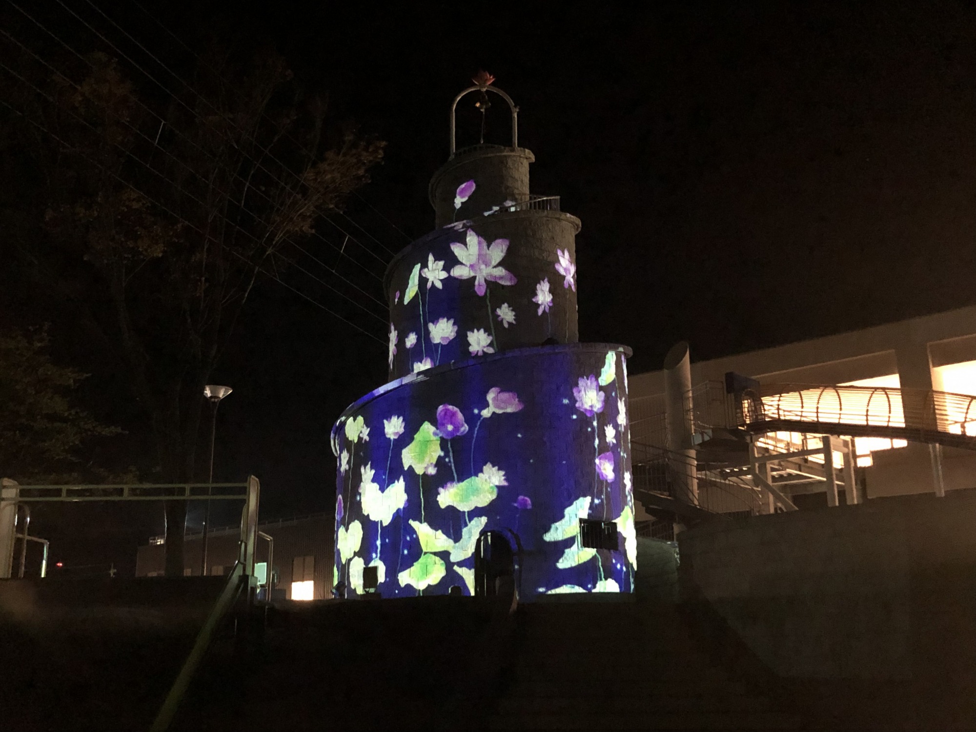 提供：道の駅「南えちぜん山海里」