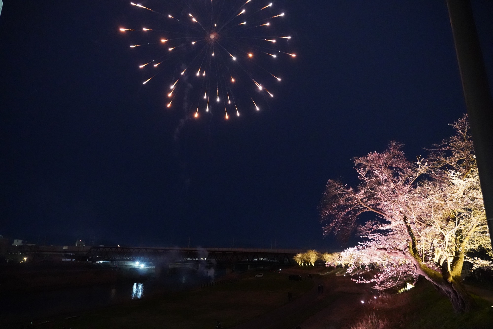 花火と桜と電車の写真を来年は撮れるかな？