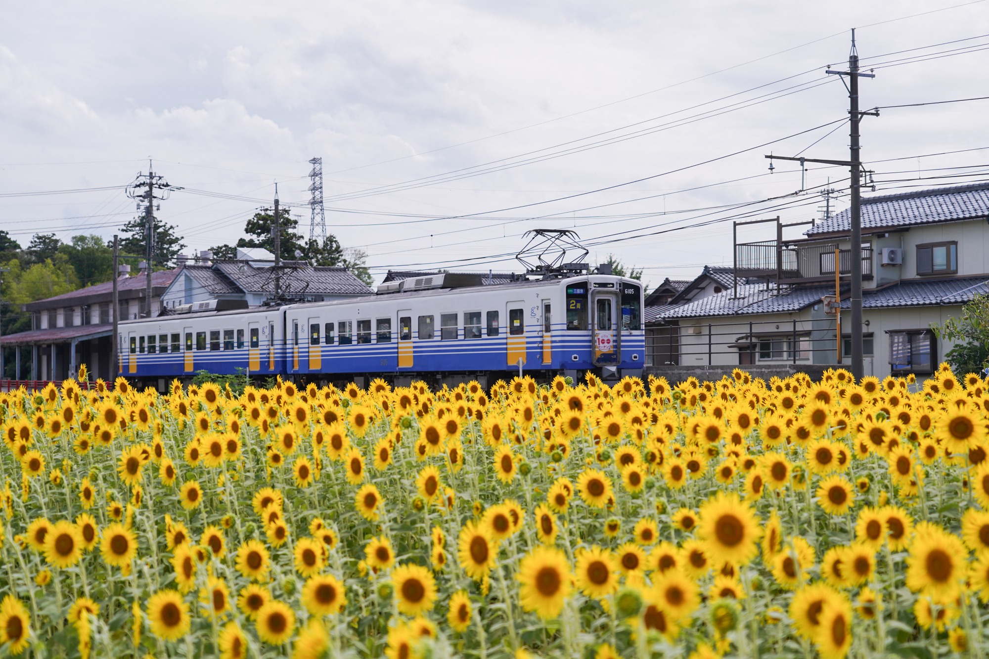 だいたい1時間に2本電車が来ます。