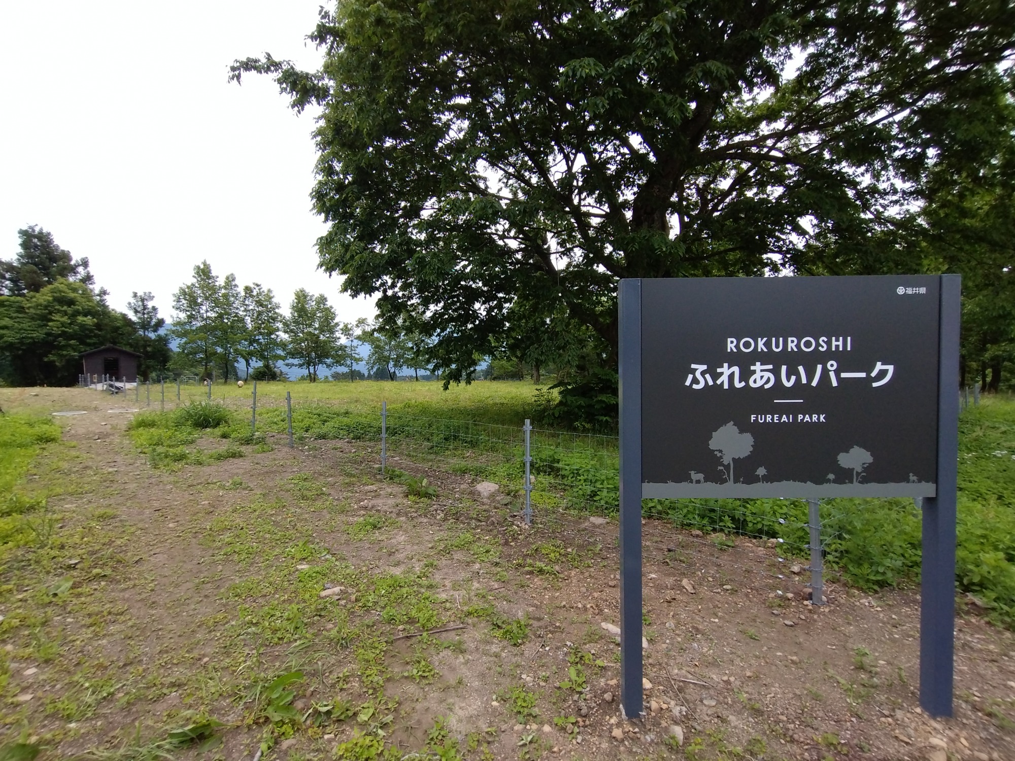 ふれあいパーク