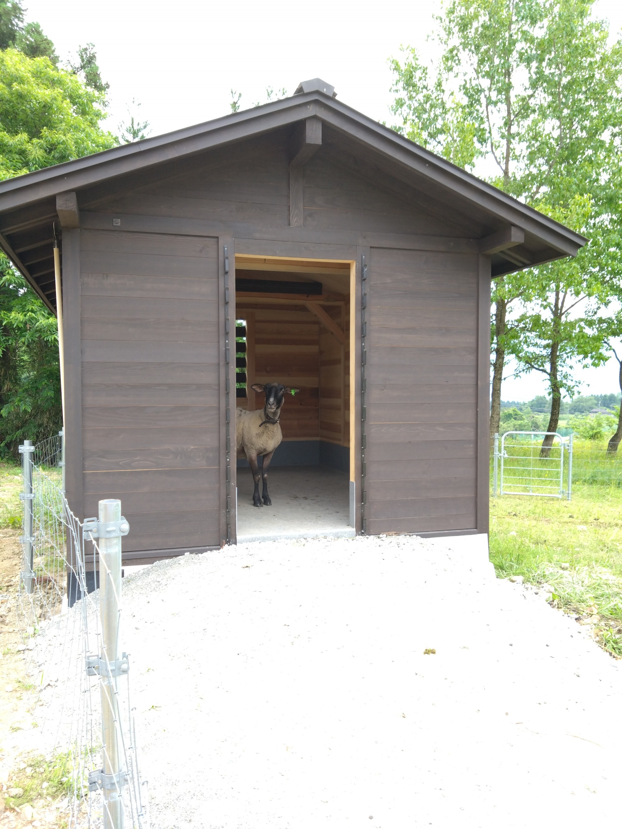 羊の小屋