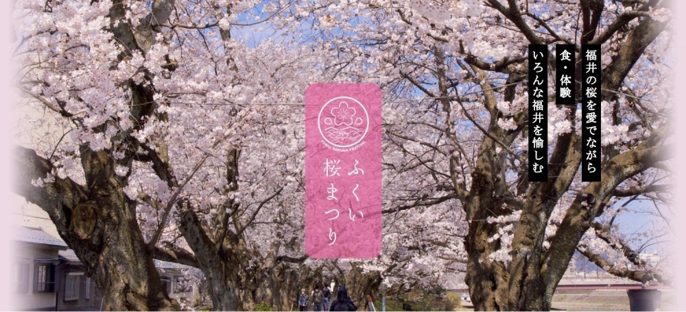 ふくい桜まつりをもっと詳しく！