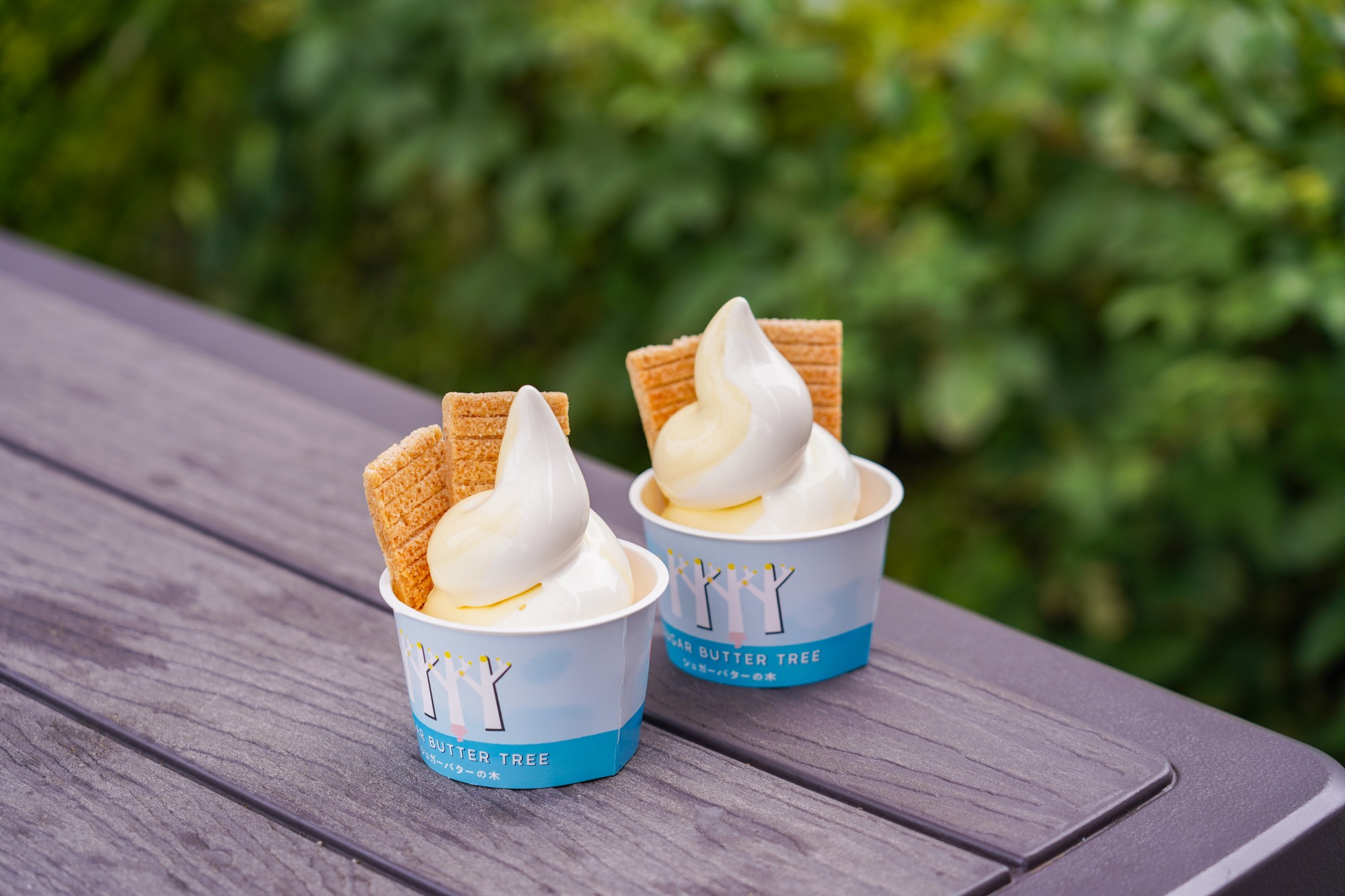 全国で3店舗しかないソフトクリームが福井で!