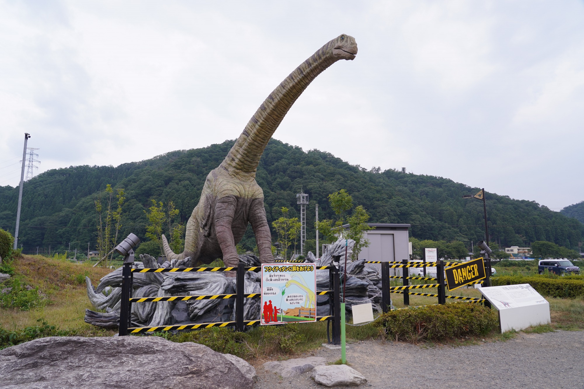 外で恐竜の餌やりもできます