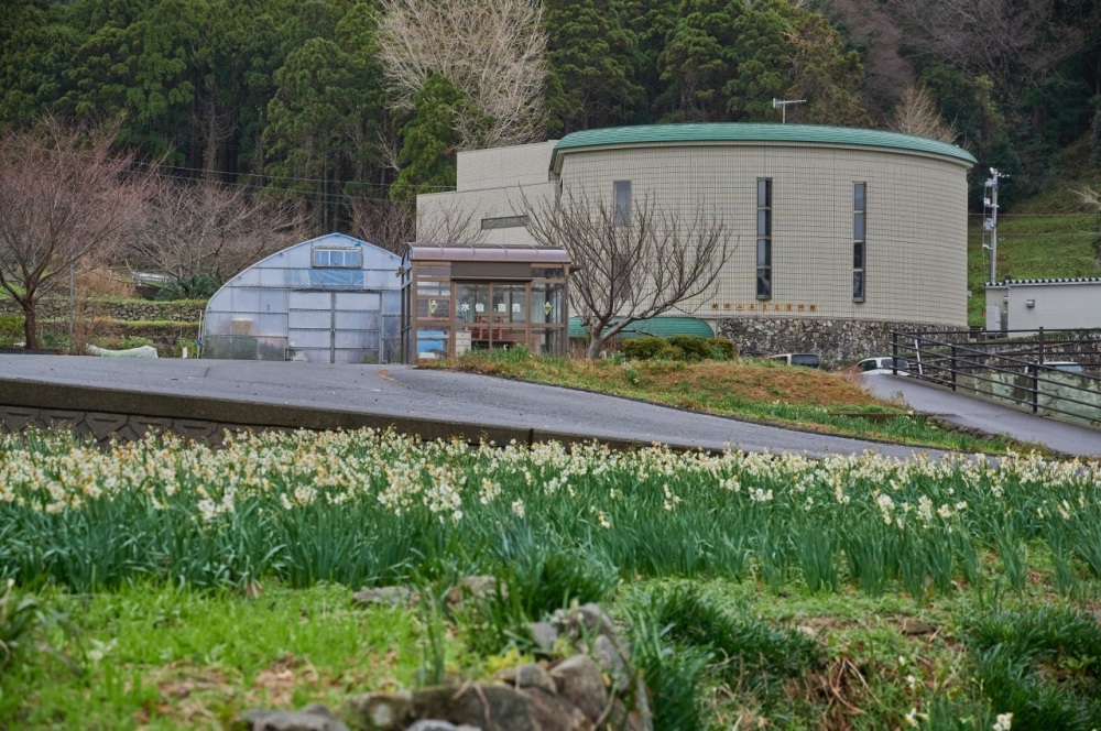 歴史深掘りスポットはこちら！「越廼ふるさと資料館」