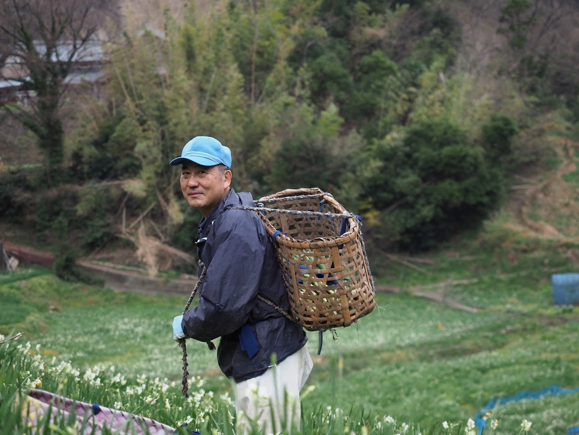 昔からの籠を背負って収穫している農家さん